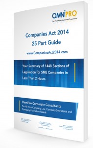 Companies Act Guide 3D Cropped